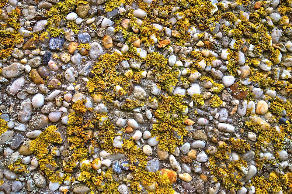piso de pedras