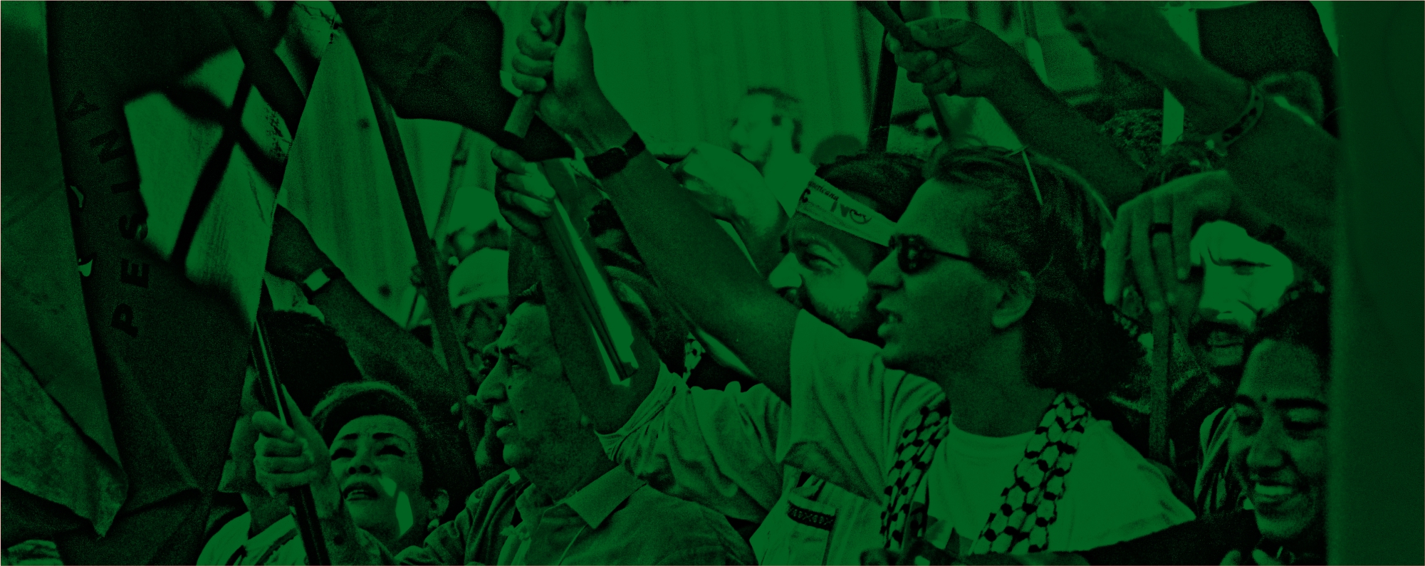 Fundo verde